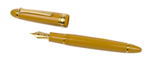 Load image into Gallery viewer, Sailor 1911 Standard Fountain Pen - Pirate's Life